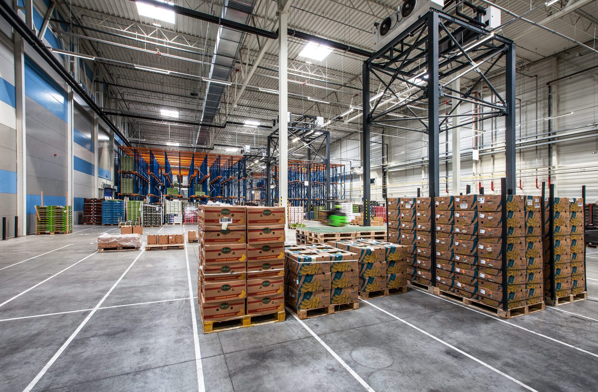 CTPark Divišov – warehouses and production halls – photo 7
